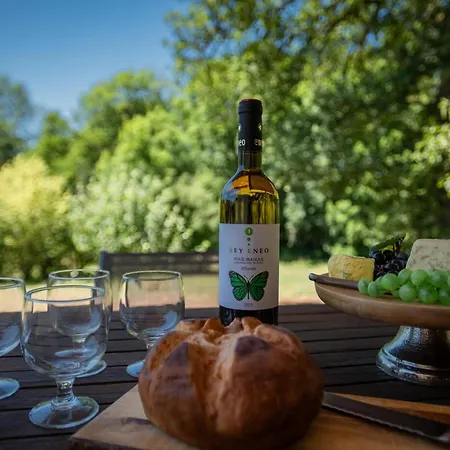 Bleu Nr 13 Tatil Evi *